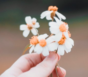성인심리상담센터, 비용 선택을 위한 3가지 기준 [성인 온라인 심리상담 트로스트]