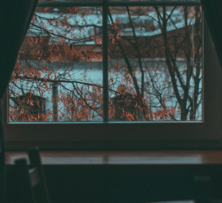 가족상담, 엄마에게로부터 독립하고 싶어요 [온라인 심리상담 트로스트]