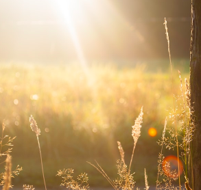 [우울증 약/ 정신과 약물] 서카딘서방정 (불면증 약/ 멜라토닌) 후기: 부작용, 효능, 효과