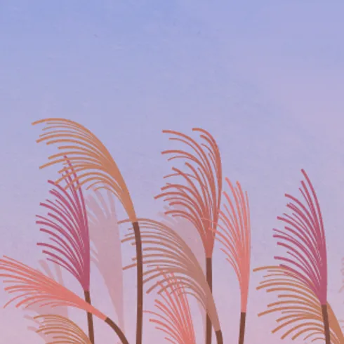 sleep music content image